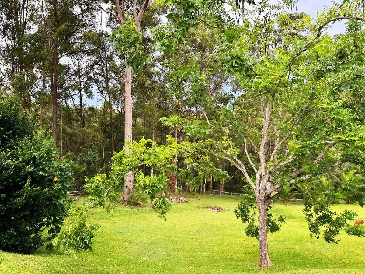 2 Bedroom Granny Flat In Nerang With Shared Pool Gold Coast